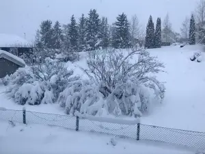 Tom 01 Noorse sneeuw